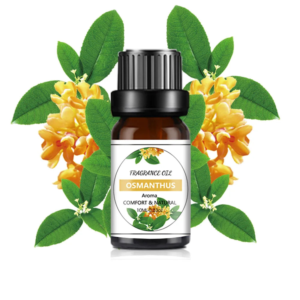 AromaEssence™ 10ml Organic Essential Oil – 33 Natural Scents for Aromatherapy & DIY Crafts - BodyMindSpiritSpace